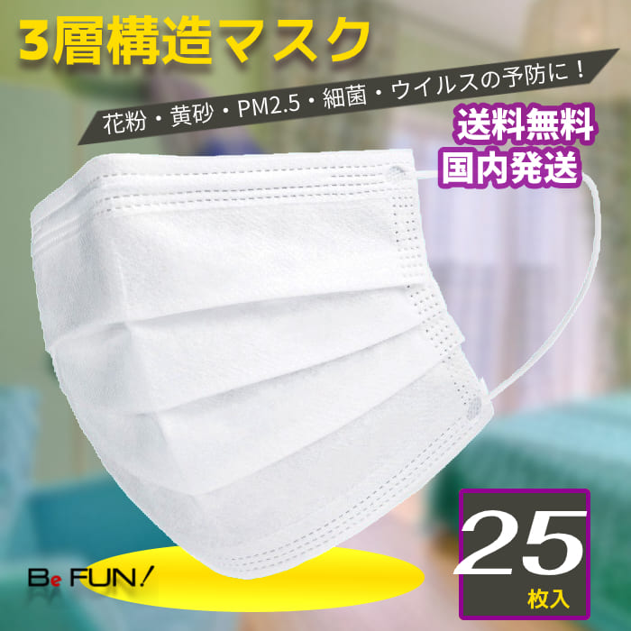 非公開: マスク 数量限定 25枚(1パック) 花粉 PM2.5 飛沫