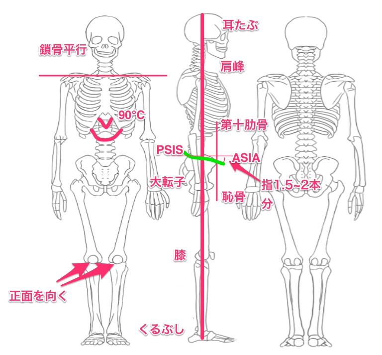 美姿勢こそ美しい 基本の姿勢を目指しましょう ヨガウエア ヨガグッズのセレクトショップ Be Fun